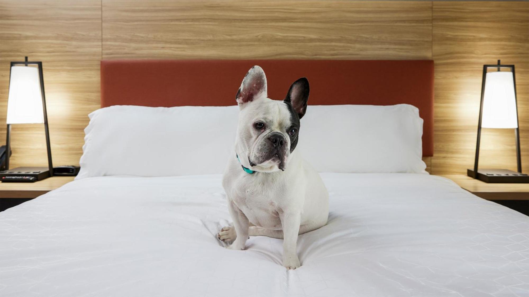 Candlewood Suites Junction City - Ft. Riley By Ihg Kültér fotó